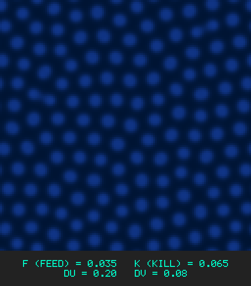 F0.035 k0.065 Du0.20 Dv0.08
